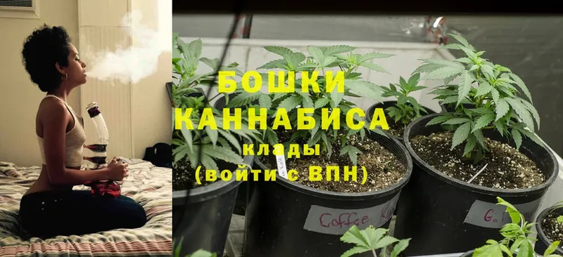 Бошки марихуана Bruce Banner  Бокситогорск 